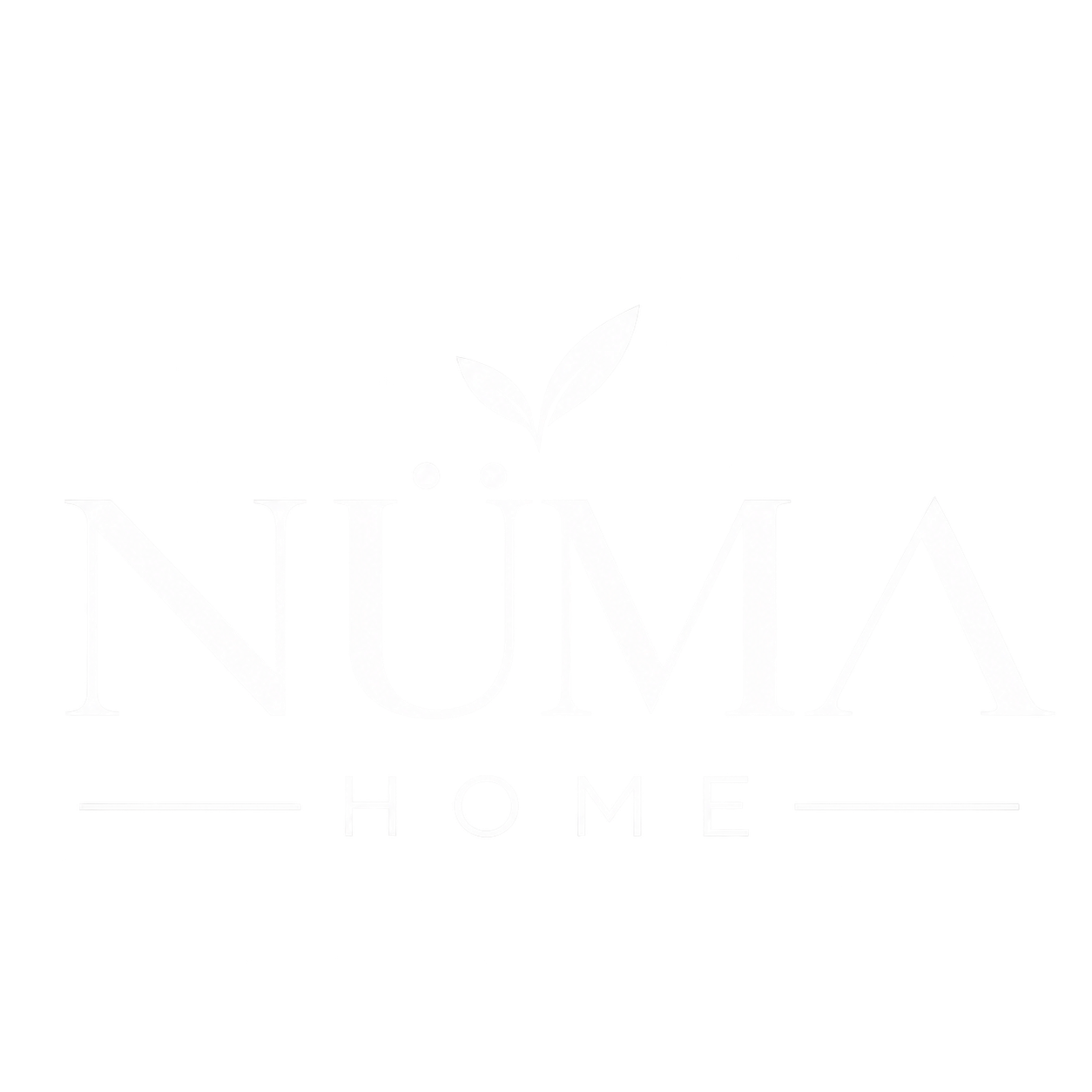 NUMA HOME