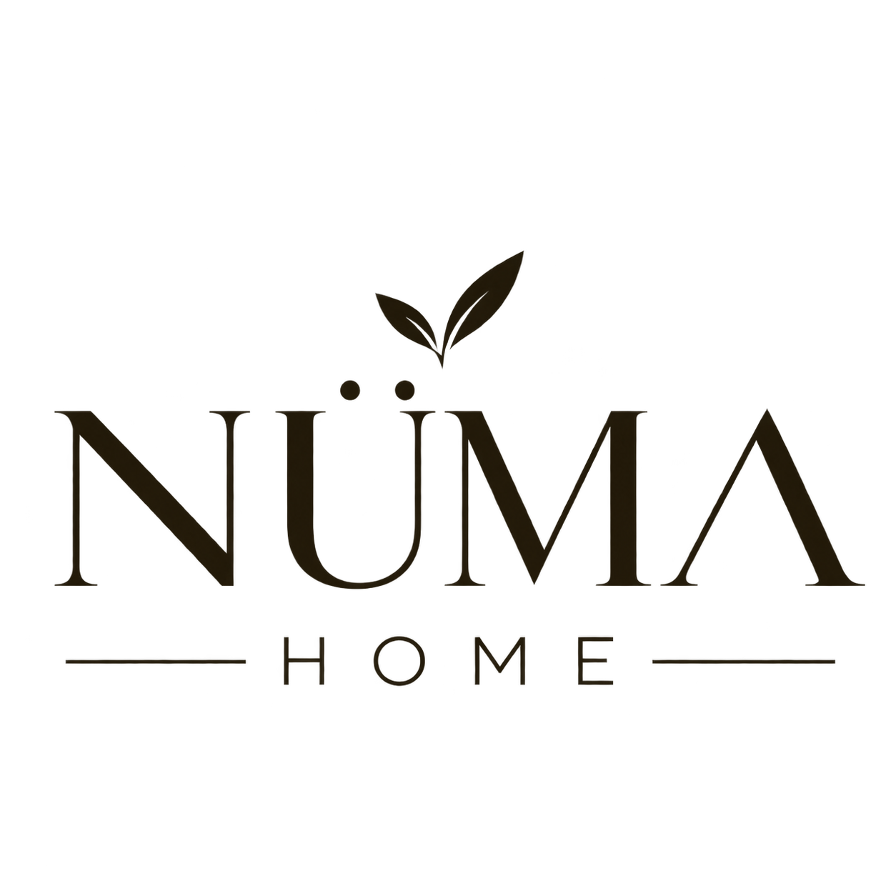 NUMA HOME