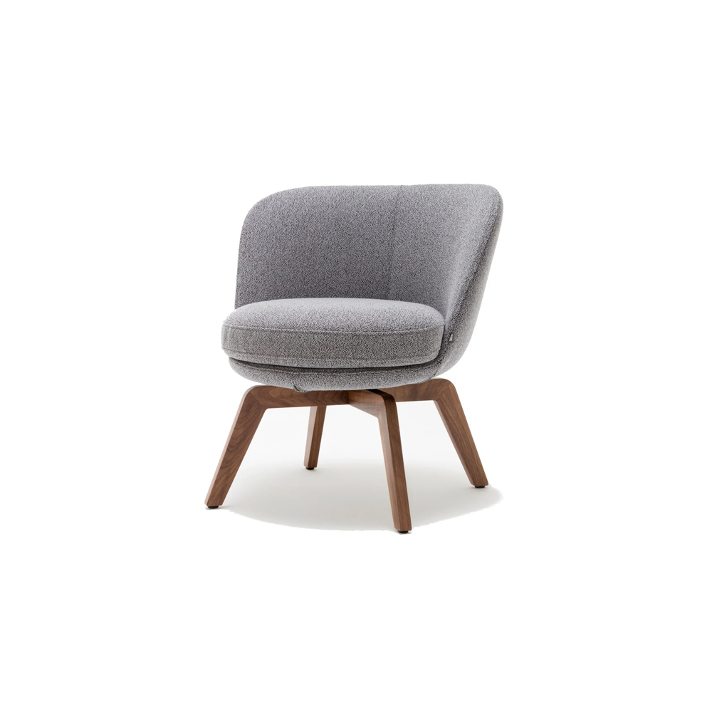 Wooden easy chair